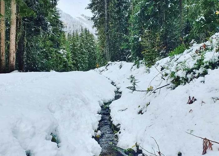 Eleonora * Ochsengarten